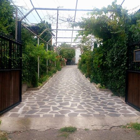 Guesthouse Giorgi Tel Avi Exterior foto