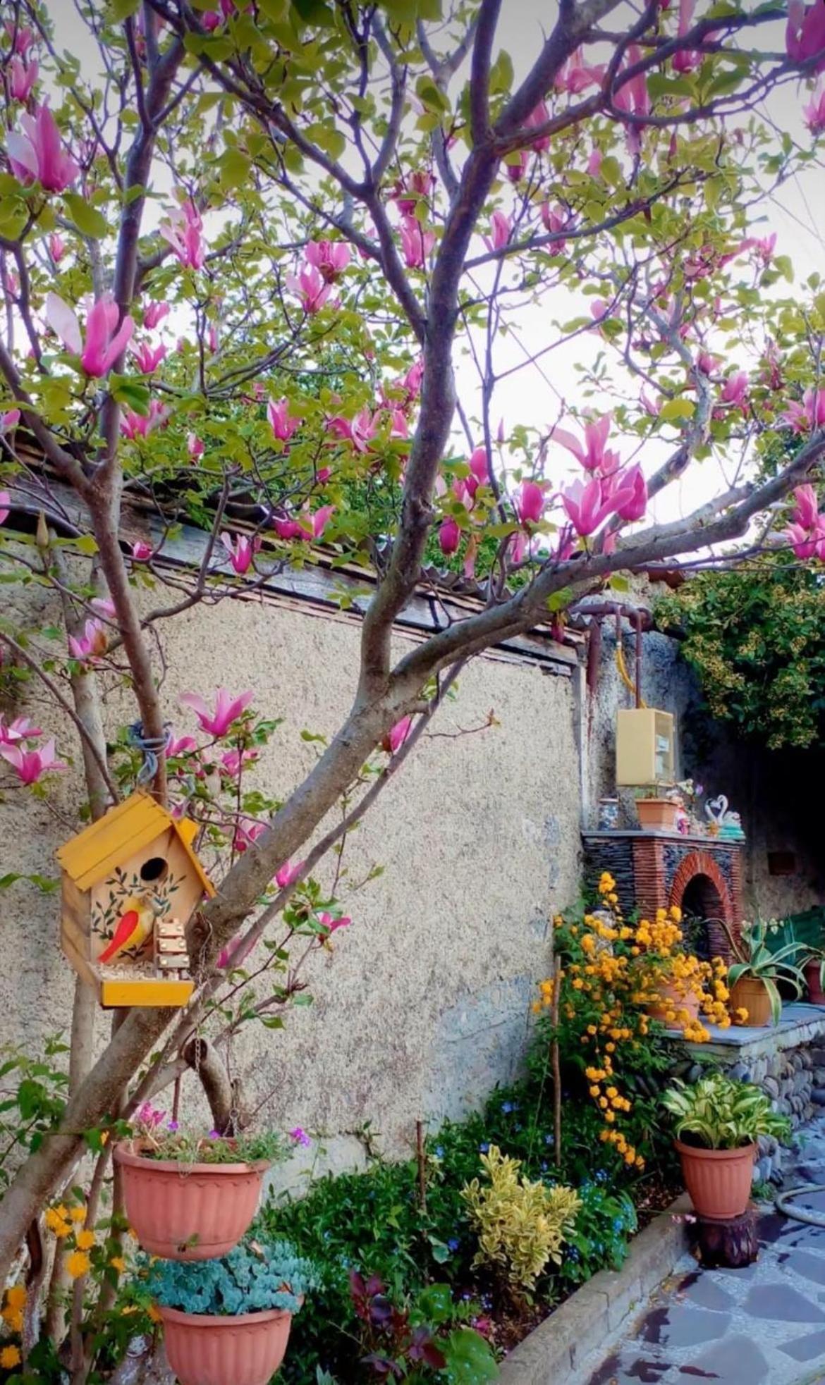 Guesthouse Giorgi Tel Avi Exterior foto
